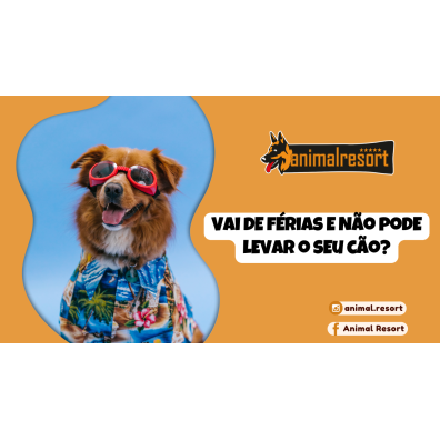 Vai de férias e não pode levar o seu cão?